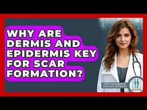 Why Are Dermis And Epidermis Key For Scar Formation? - Orthopedic Support Network
