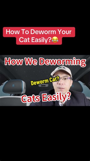 How To Deworm Your Cat Easily
