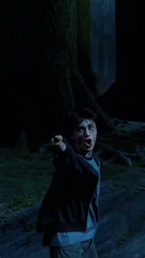 Harry Potter the Prisoner of Azkaban #HarryPotter #PrisonerOfAzkaban #HarryPotter3 #WizardingWorld