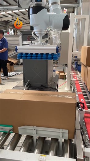 Carton Palletizer Machine WhatsApp: 86 17760763390 (Lily) WeChat: 8618317308387 (Lily) | SUNY Wipes Machine