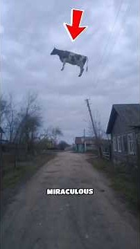 The Most Miraculous Moments Ever Recorded in Nature #animals #wildlife #shorts