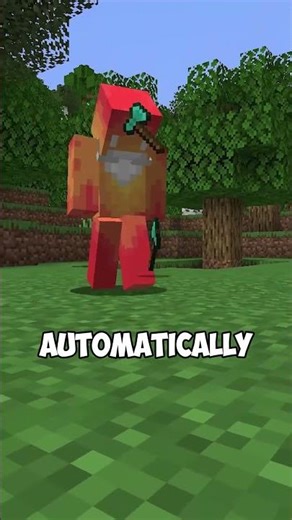 what if you could age in minecraft?