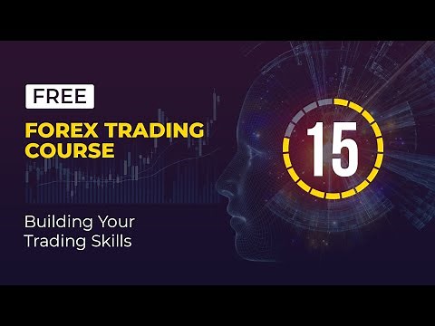 The Best Forex Trading for Beginners Course - Lesson 15 (Building Your Trading Skills)