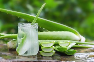 Lubrifiant naturel : vaseline, huile d'olive, aloe vera