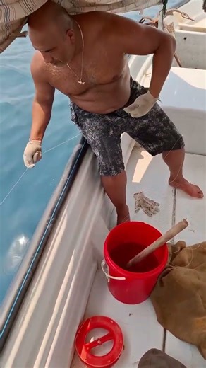 Persian Sea (The Entire Body of Waters in the South of Iran): The Direct Arm of Indian Ocean