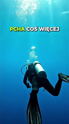 What happened at Vortex Spring? #criminalstories #vortexspring #diving