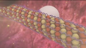 Medical Animation Microtubule