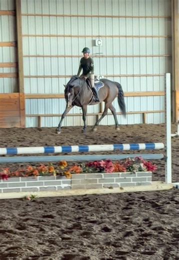Holy trot today 😍😍 #blowthisup #fypシ゚viral #equestrian #horse #fyp | equestrian