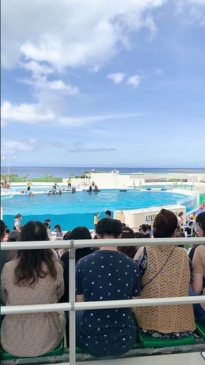 I watched the Oki-chan Theater/dolphin show at Okinawa Churaumi Aquarium in Motobu Town, Kunigami...