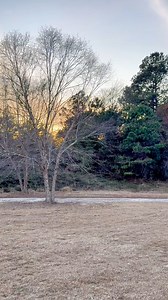 34K views · 2.6K reactions | Let’s talk about Western North Carolina and the situation at hand. These people still need help. | Greenhorn Grove | Facebook