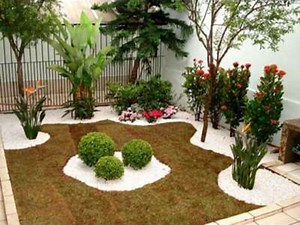 Jardim Pequeno: como escolher as plantas certas para o espaço