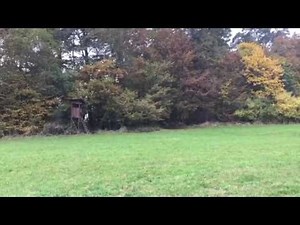 Bigfoot is alive and well in Germany!