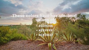 Italy Flag Colors HEX, RGB & HSL