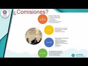 Cómo se crea una ley