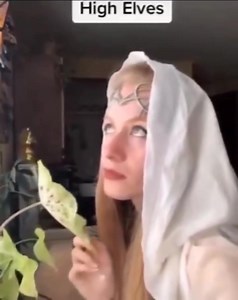 There are two kinds of Elves 🤣🤣 #lotr #thelordoftherings | Lord of the Rings Fans