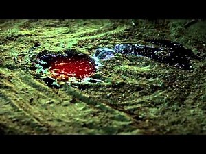 CSI: Crime Scene Investigation - episode 10 trailer