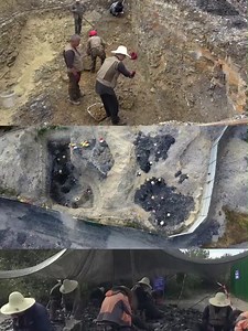 New Chinese discovery rewrites history of bird evolution #Chinese #scientists have recently discovered one of the world's oldest bird fossils in #Fujian Province, the only confirmed #Jurassic bird to date. This discovery pushes back the appearance of an important avian trait, represented by the #pygostyle, by nearly 20 million years. #science #bird #history | T-Time HK