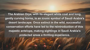 Unveiling Saudi Arabias Rich Wildlife: Top 10 Native Animals You Need to See!
