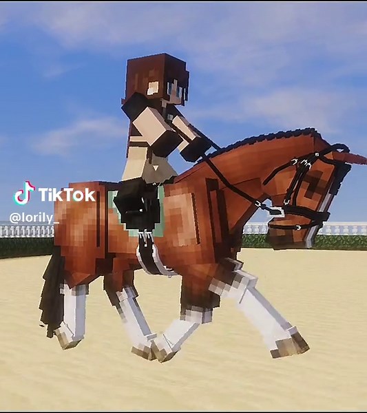 I changed the animations a little. The head is finally moving more smoothly! I'm thinking about doing rrp with these horses since I also optimized my game enough for it to handle more than two swem horses at a time😅#mcjava #horse #minecraftequestrian #swem #mc