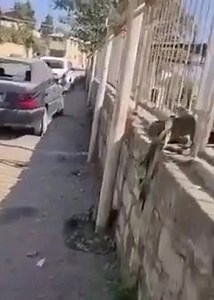 🇦🇿Ordumuzun Hadrut gəzintisi 📲TELEGRAM: t.me/xalqxalq | Xalq