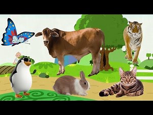 Con gì đây 🦅 dạy bé học các con vật [Anh - Việt] | Con gi day