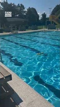 Long Island officials urge constant supervision and life jackets after recent child drowning deaths
