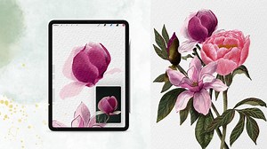 Painting Flowers with Digital Watercolor in Procreate | Phuong Lempinen | Skillshare