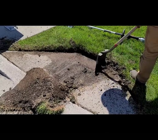 Transforming an Overgrown Lawn: Sod Installation and Lawn Care Tips