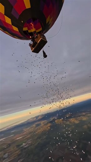 Sky Diving on Instagram: "Touching the sky, one jump at a time ☁️🪂💥 There’s nothing like the rush of freefall — just you, the wind, and the infinite sky. If you’ve never jumped before, here are a few quick tips before taking the leap: 💡 Skydiving Tip 1: Relax your body — tension makes freefall feel more intense. 💡 Tip 2: Trust your instructor, especially during tandem jumps. They're your lifeline. 💡 Tip 3: Breathe and look around — the view is half the magic. Every skydive is a reminder tha