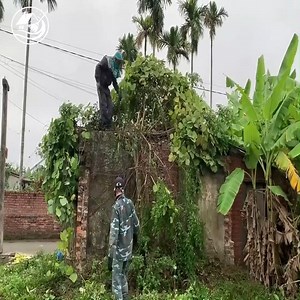 84K views · 722 reactions | We help the old lady clean up the abandoned house #abandoned #lawn #cleanup #cleaningmotivation #clean #overgrown #transformation | Clean Up TV | Facebook