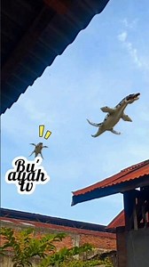 Liopleurodon #shorts #liopleurodon #fyp #viral