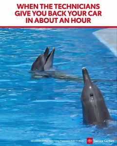 At the Toyota Service Center, every lane is the fast lane. Our trained experts will get you in and out quickly when you bring in your car for Toyota Express Maintenance. | Toyota USA