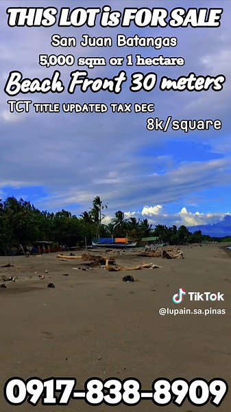 San Juan Batangas Beachfront Lot for Sale