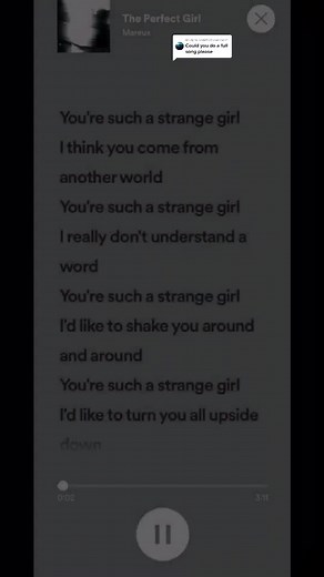 The Perfect Girl - Full Song Lyrics