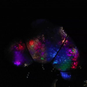 293 reactions · 56 shares | Discover magical Biomes full of lights & music in a special festive celebration this winter. Selected dates 4-30 Dec. | Eden Project | Facebook