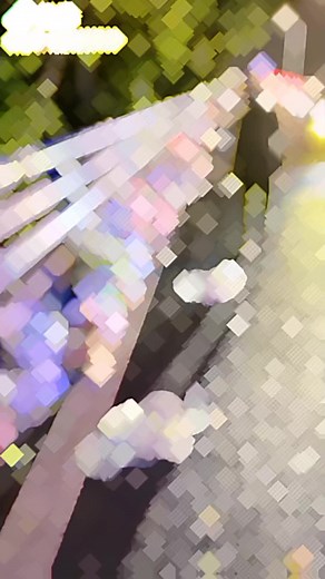 Adorable Fat Cat Compilation - Funny and Cute Cat Videos