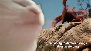 85K views · 2.2K reactions | Noisestorm - Crab Rave (Monstercat Release) credit: @micklagi on tiktok | Vibe Cat | Facebook