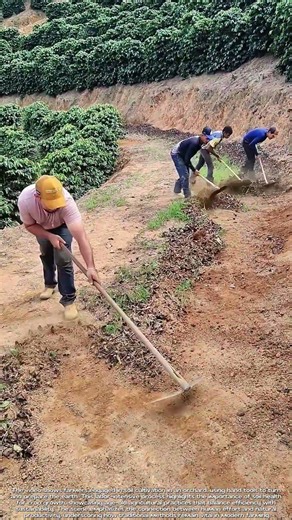 Tilling the Soil: How Traditional Farming Keeps Crops Thriving