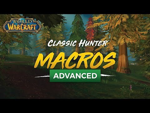 Advanced Hunter Macros - Classic WoW
