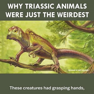 181K views · 2.9K reactions | What We Know About the Weird Animals of the Triassic Period | Eons • PBS | Facebook
