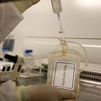 Video: Automated Cell Enrichment of Cytomegalovirus-specific T cells for Clinical Applications using the Cytokine-capture System