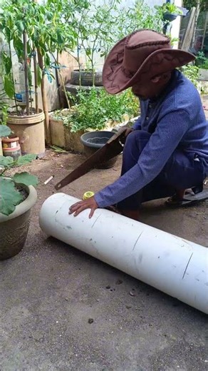 tutorial membuat vertikal garden dari pipa pvc #shorst #gardening #farming