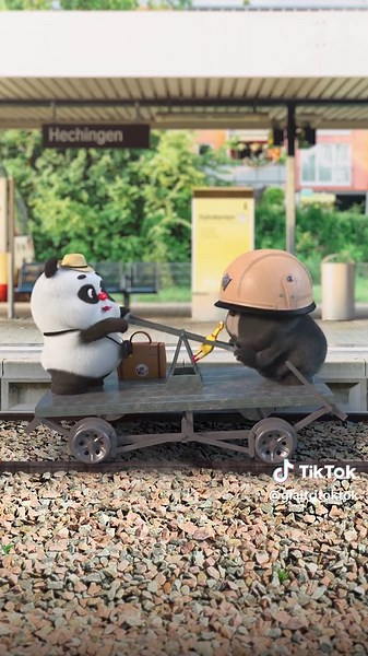 Funny Panda Cartoon Videos Compilation