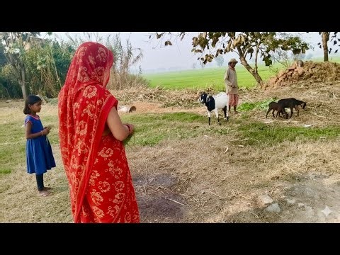 24 Hours of Pure Peace: My Indian Village Daily Routine | Indian Real Village