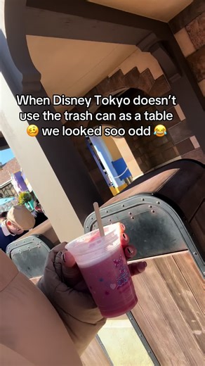 Dining Dilemmas at Disney Tokyo: Trash Can Seating Alternatives