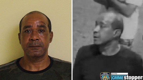 Bronx sucker punch suspect freed without bail