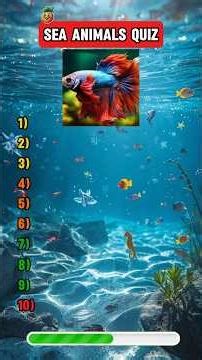 Can You Guess These Sea Animals? 🐬👀 | Ocean Quiz Challenge#SeaAnimals #OceanQuiz #GuessTheAnimal