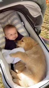 Funniest Baby Moments 😂👶 | Cute & Hilarious Reactions | Adorable babies | #funnybaby #cutebabies