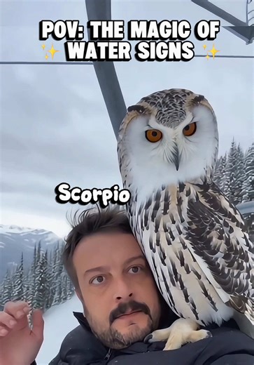 Water signs are real life princesses #astrology #astrologytiktok #watersigns #zodiacsigns