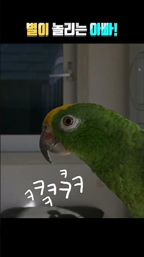 I teased the parrot and what was his answer?